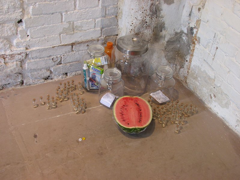 Room1_13_c.JPG - Sharing a Watermelon with an Unknown Person (2009 Venice Version)15/05/2005